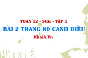 Bài 2 trang 80 Toán 12 tập 1 Cánh Diều